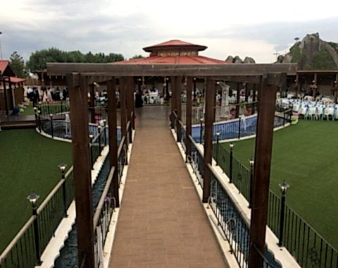 Pool Garden