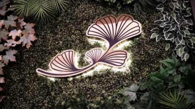 Video Galeri